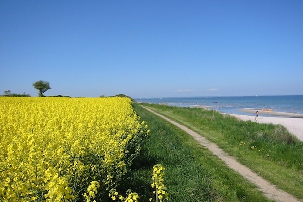 Strandappartement Ostseeglück in Kronsgaard met direct uitzicht op de Oostzee - thumbnail 5