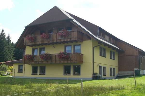 Panoramavakantiehuis 80m² bij Schonach, vlakbij skilift en centrum - thumbnail 3