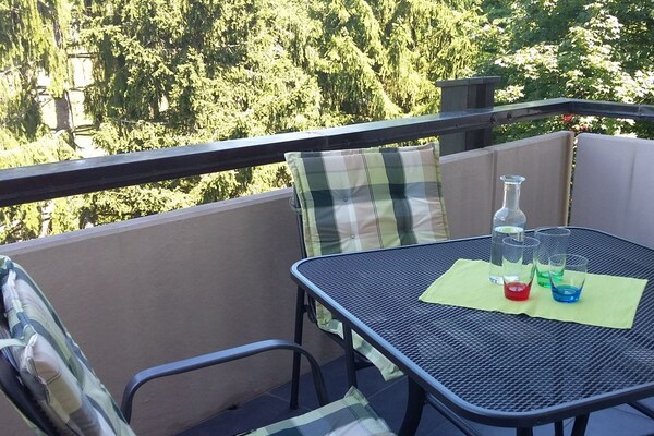 Modern appartement in Bad Bellingen, 200m tot centrum, met gratis OV-kaart - thumbnail 3