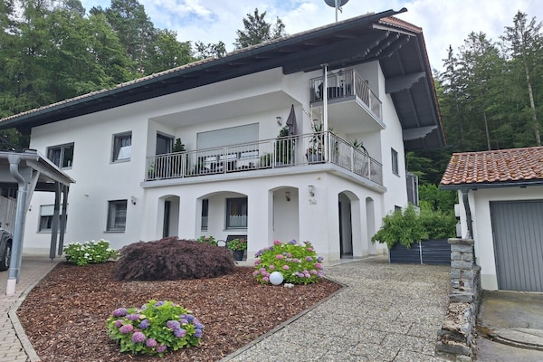 Gerenoveerd vakantiehuis aan de bosrand nabij skilift - thumbnail 4