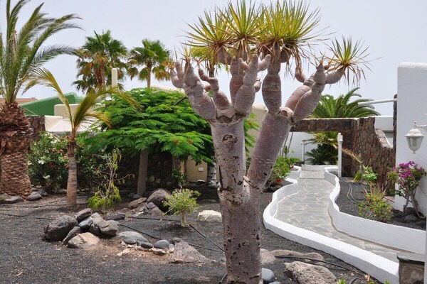 Ruime villa met terras en zwembad in Morro Jable - thumbnail 6
