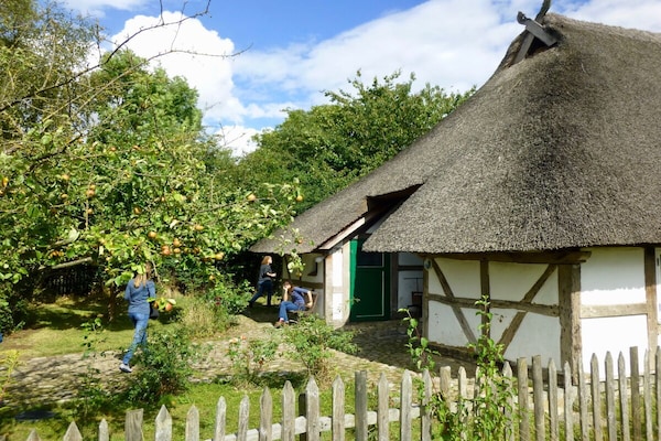 8-persoons vakantiehuis in het centrum van Klocksdorf - thumbnail 3