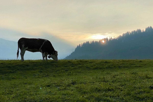 Vakantiehuis in Obermaiselstein: centrum op 1,0 km en aan de piste - thumbnail 3