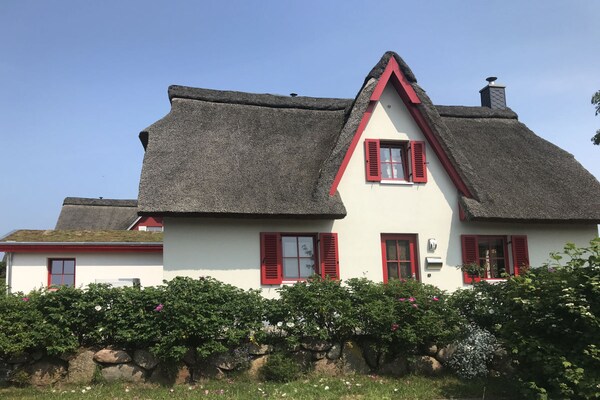 Moderne rietgedekte vakantiewoning bij Travemünde met grote tuin - thumbnail 1