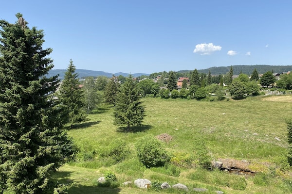 Op 800m van het centrum: modern vakantiehuis in Schluchsee - thumbnail 4