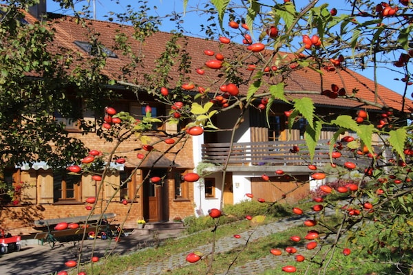 Knus 3-sterren appartement met balkon en vrij uitzicht op de Alpen in Simmerberg - thumbnail 1