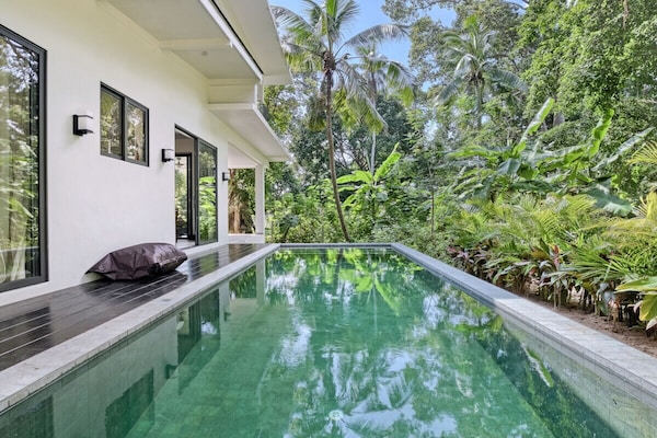 626684 - Ko Pha Ngan