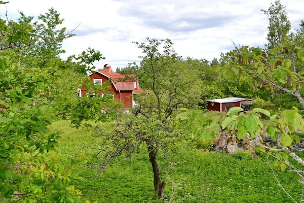 Authentiek rood vakantiehuis voor 10 personen in de natuur van Småland - thumbnail 2
