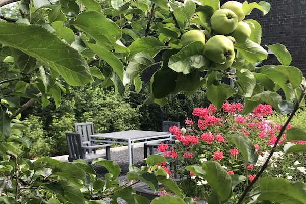 Ruim vakantiehuis voor 8 personen in bosrijke oase bij Wilhelmshaven - thumbnail 4