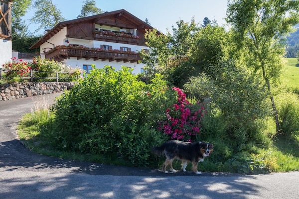 Sfeervol vakantiehuis met uitzicht op het Latemargebergte in Völs am Schlern - thumbnail 5