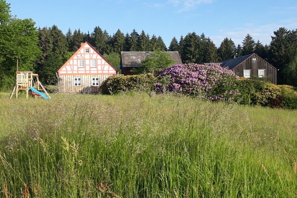 Ruim vakantiehuis voor 6 personen in Bad Brambach - thumbnail 6