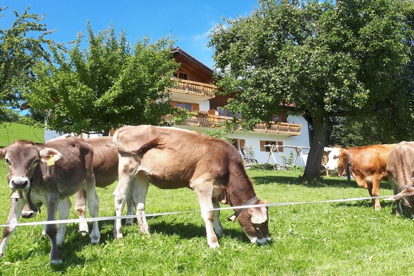 Knus vakantiehuis bij Rettenberg, Allgäu – 4 personen, kindvriendelijk - thumbnail 5