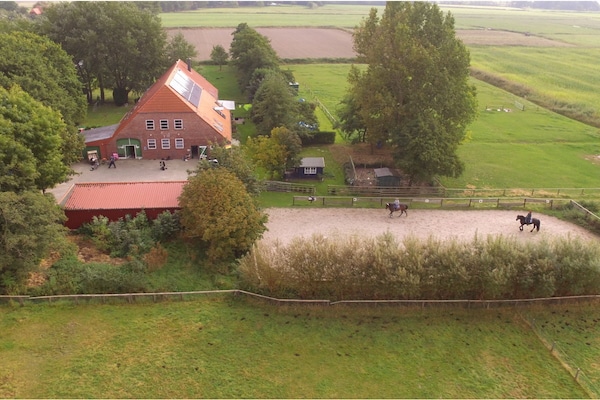 128791 - Butjadingen