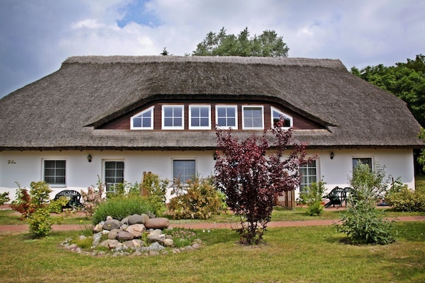 Licht appartement in rietgedekt huis op Mönchgut, vlakbij het strand - thumbnail 3