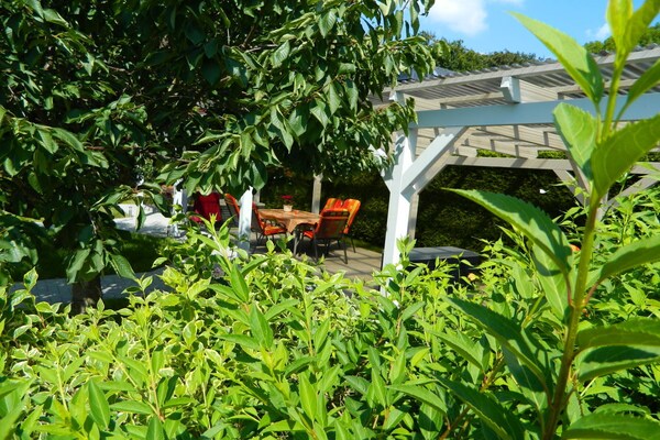 Ruim vakantiehuis voor 5 personen in Röbel/Müritz · 60 m² - thumbnail 5
