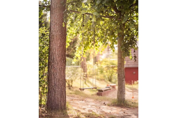 Licht vakantiehuis met sauna bij de Oostzee in Kölpinsee - thumbnail 4