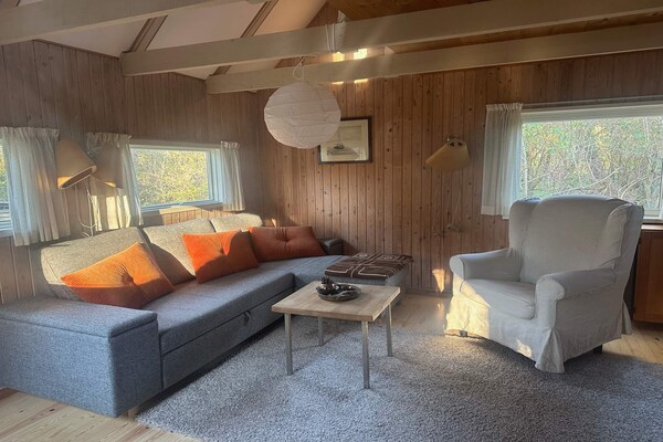 Vrijstaand vakantiehuis op Sejerø – Zee op 200 meter, 6 personen - thumbnail 4