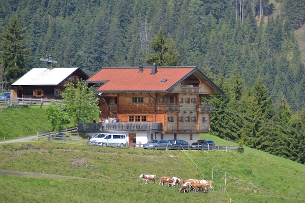 Aan de piste: Ruim vakantiehuis voor 22 personen in Wildschönau - thumbnail 3