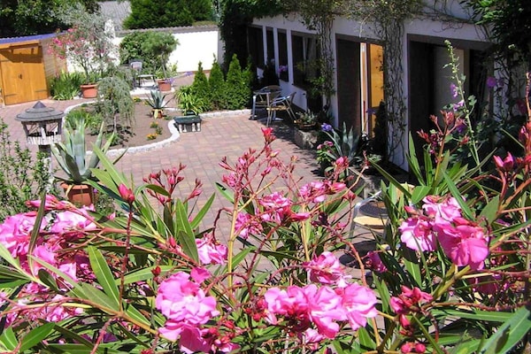 Op 800m van het centrum: Modern vakantiehuis in Ostseebad Heringsdorf - thumbnail 6