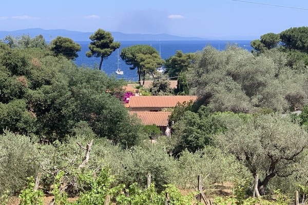 Sfeervol vakantiehuis in Capoliveri voor 5 personen - thumbnail 1