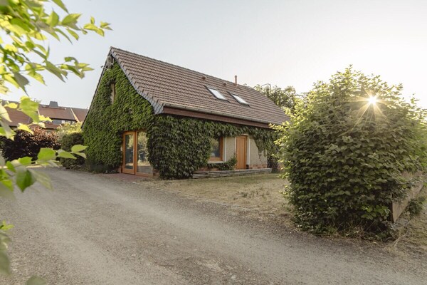 24299 - Plau am See