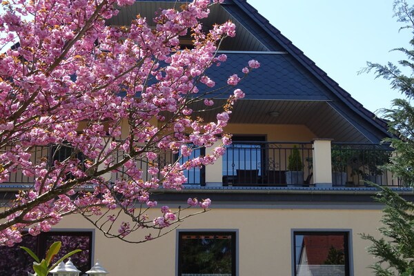 64580 - Waren