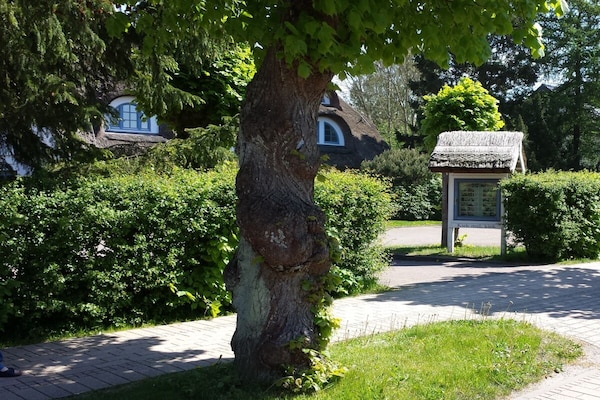 4-persoons vakantiehuis in het centrum van Ostseeheilbad Zingst - thumbnail 2
