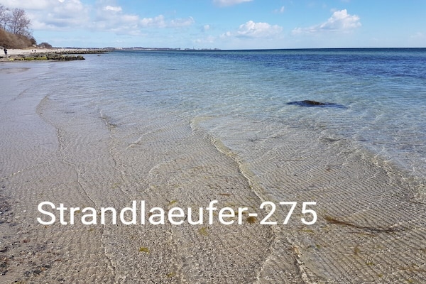 Vakantiehuis aan zee in Sierksdorf met direct strandzicht - thumbnail 6