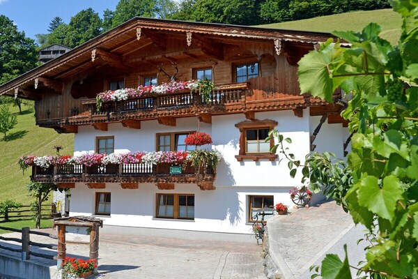 619206 - Schwendau