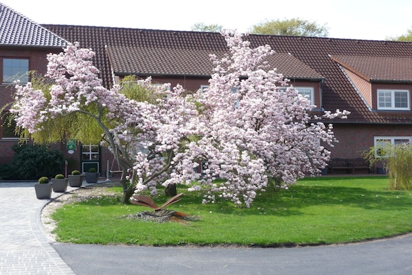 3-persoons vakantiehuis in het centrum van Mardorf - thumbnail 3