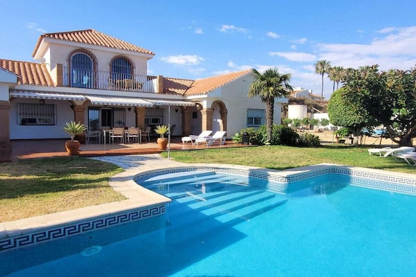 128836 - Algarrobo