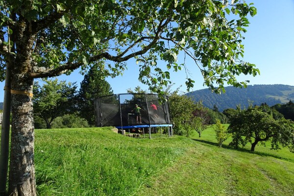 Sfeervol vakantiehuis in Oberstaufen met zonneterras - thumbnail 2