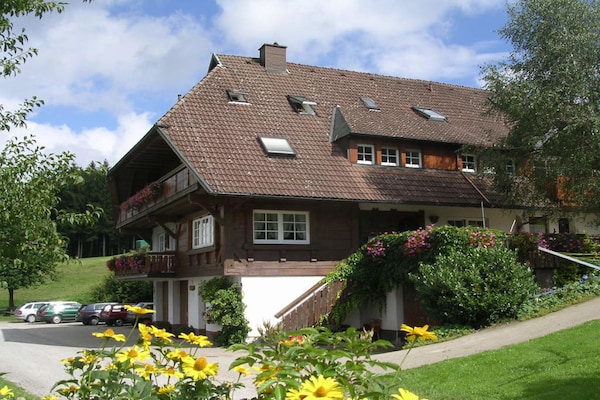 27075 - Wolfach