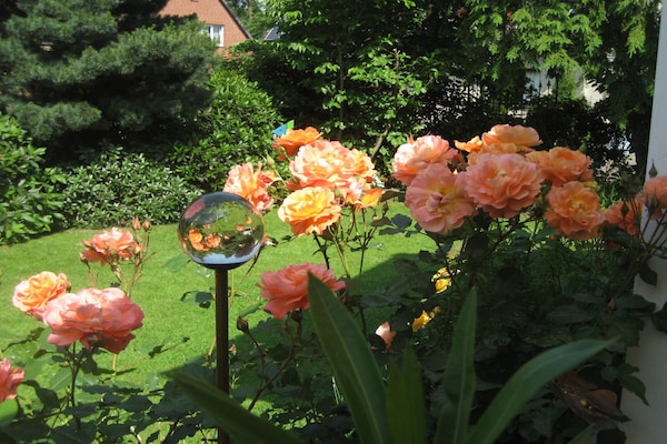 Op 1,0 km van het centrum: licht vakantiehuis in Walsrode - thumbnail 3