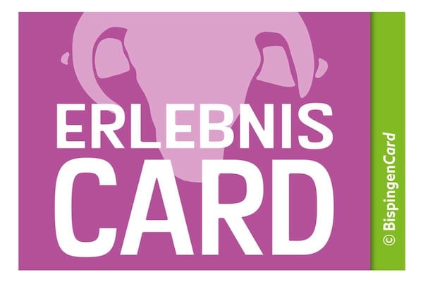 Centraal gelegen vakantiehuis in Walsrode voor 3 personen - thumbnail 6