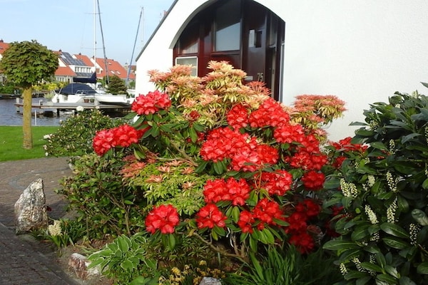 87301 - Lemmer