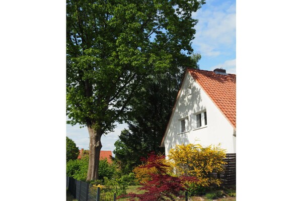 4-persoons vakantiehuis in het centrum van Neuenkirchen - thumbnail 4
