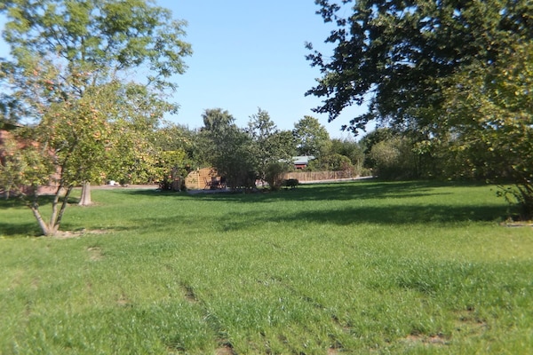 Ruim vakantiehuis in Gelting voor 6 personen met grote privétuin - thumbnail 6