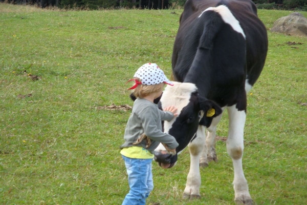 Sfeervolle boerderij in Völs am Schlern voor 5 personen - thumbnail 2