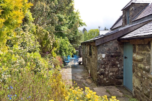 Y Cwtch - Gwynedd