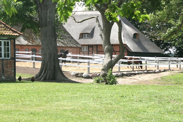 Gezellig vakantiehuis Clara Elisabeth in Wangels - thumbnail 3