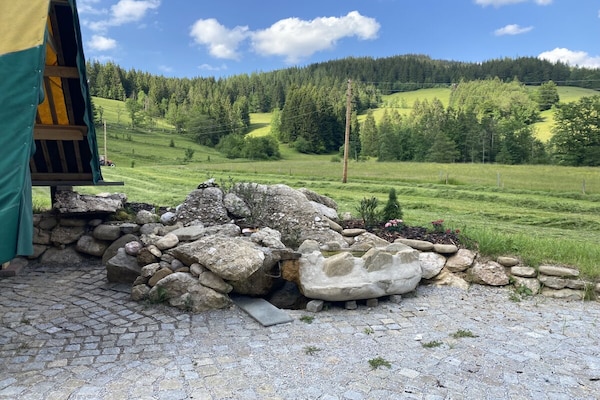 Ruim vakantiehuis voor 6 personen in Russbach am Pass Gschütt - thumbnail 5