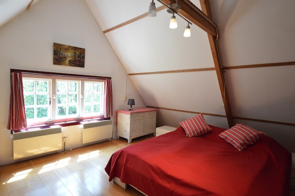 De Wildenberg: Authentiek vakantiehuis midden in Drentse bos op 20 hectare landgoed - thumbnail 3