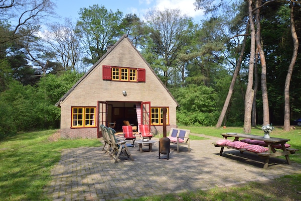 De Wildenberg: Authentiek vakantiehuis midden in Drentse bos op 20 hectare landgoed - thumbnail 4