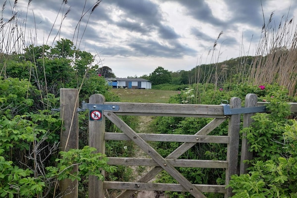 65863 - thumbnail 6