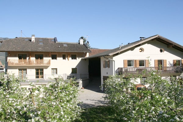 112841 - thumbnail 2