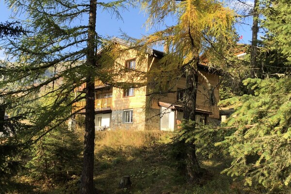 62476 - Riederalp