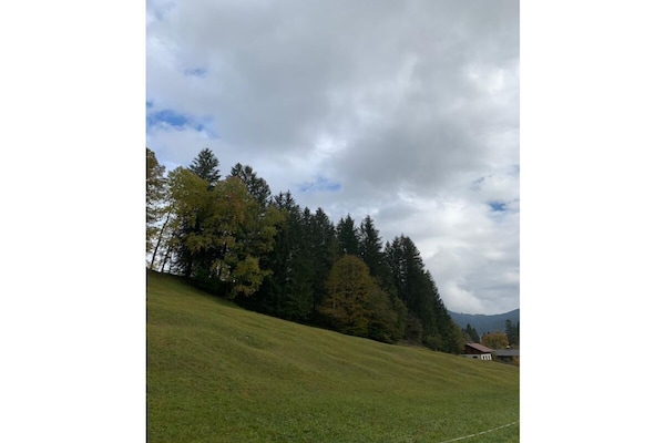 70397 - thumbnail 6