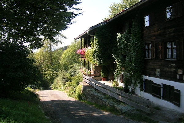 167167 - thumbnail 2