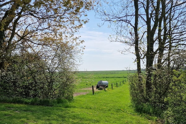 450887 - thumbnail 5